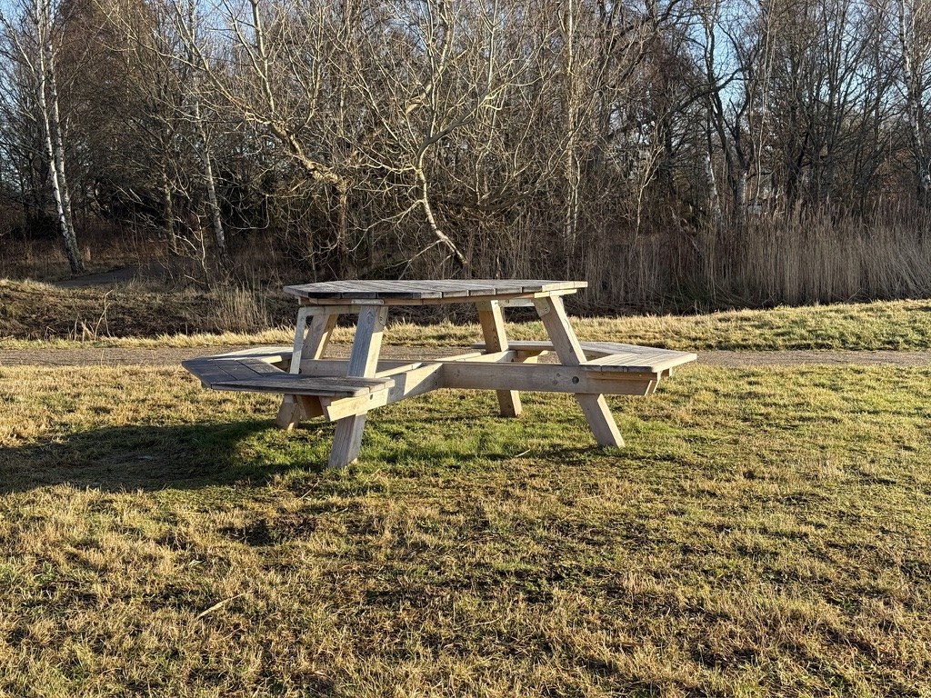 Round wooden picnic table with gaps between the bench sections, on grass in a park with bare trees behind.