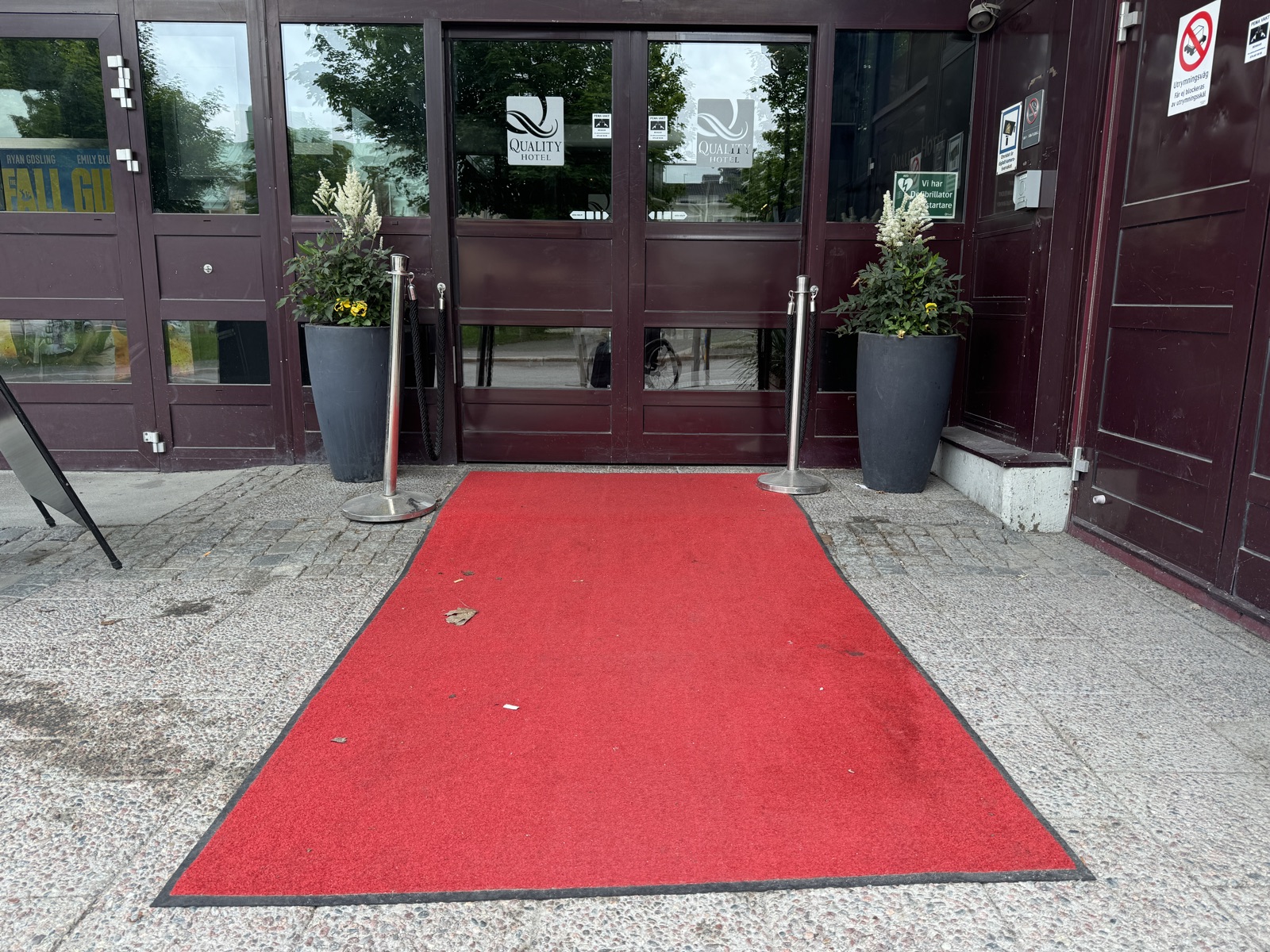 Hotel entrance with a large red carpet mat on flat ground leading to a level entrance, flanked by plant pots with autumn flowers.